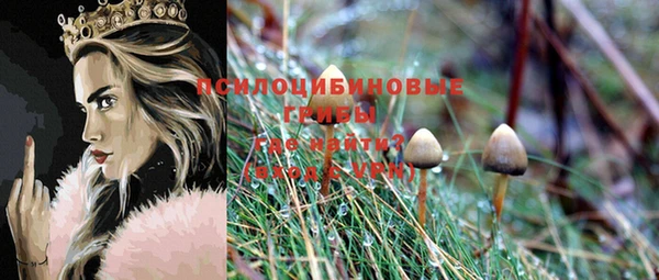 прущая мука Карталы