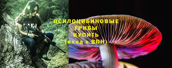 прущая мука Карталы
