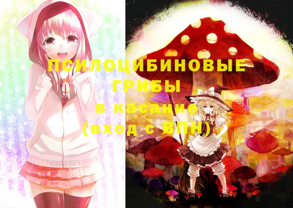 таблы Карпинск