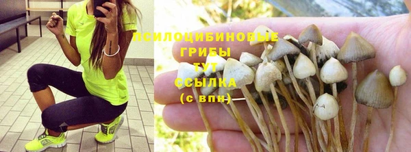 таблы Карпинск
