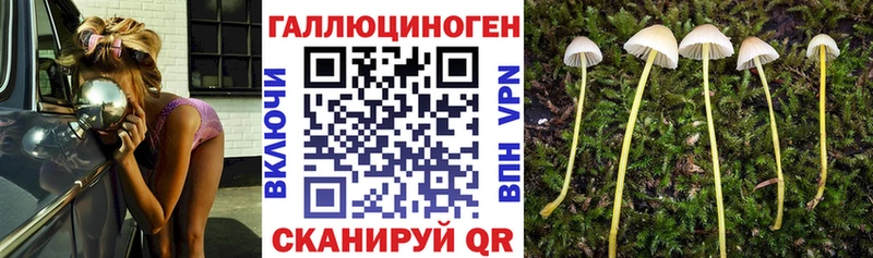 Галлюциногенные грибы ЛСД  Купить закладки  Курлово 