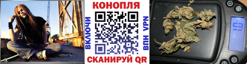 Бошки марихуана сатива  Купить где  Курлово 